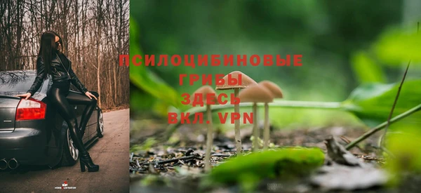 ешки Армянск